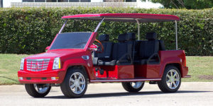 affordable golf cart rental, golf cart rent coconut grove, cart rental coconut grove