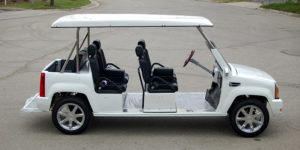affordable golf cart rental, golf cart rent coconut grove, cart rental coconut grove